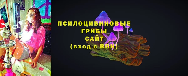 apvp Белокуриха